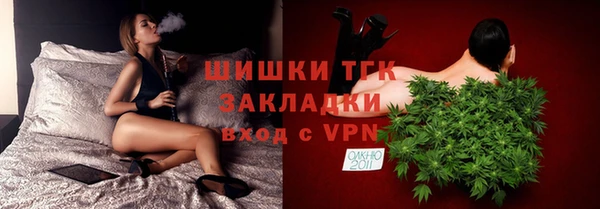 дмт Алексин