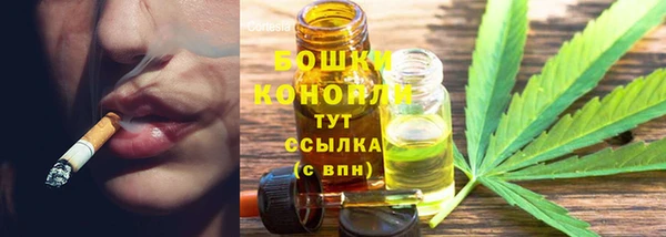 ПСИЛОЦИБИНОВЫЕ ГРИБЫ Алексеевка