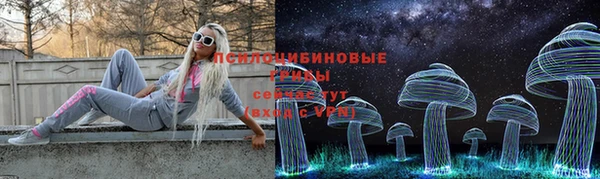 ПСИЛОЦИБИНОВЫЕ ГРИБЫ Алексеевка