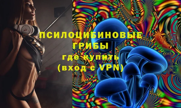 дмт Алексин