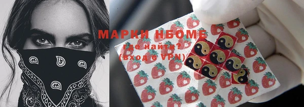 дмт Алексин