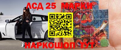 мяу мяу мука Кингисепп