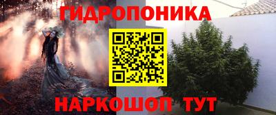 мяу мяу мука Кингисепп