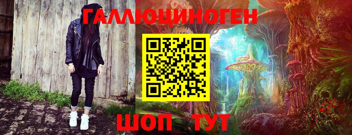 Галлюциногенные грибы Cubensis  Вход с VPN  Краснознаменск 