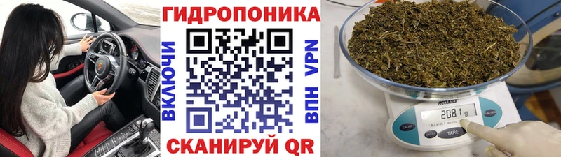 где найти наркотики  hydra ONION  МАРИХУАНА тримм  Краснознаменск 